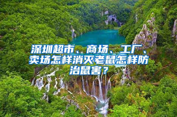 深圳超市、商場(chǎng)、工廠、賣(mài)場(chǎng)怎樣消滅老鼠怎樣防治鼠害？