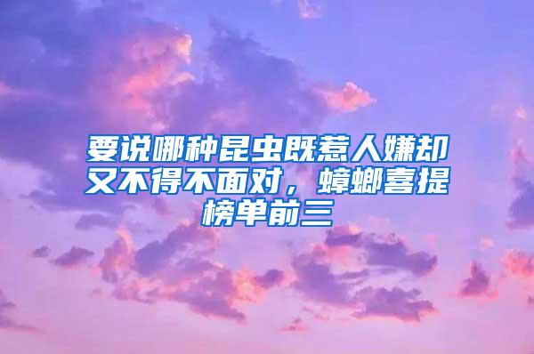 要說哪種昆蟲既惹人嫌卻又不得不面對(duì)，蟑螂喜提榜單前三