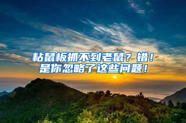 粘鼠板抓不到老鼠？錯(cuò)！是你忽略了這些問題！