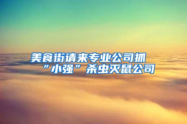 美食街請來專業(yè)公司抓“小強”殺蟲滅鼠公司