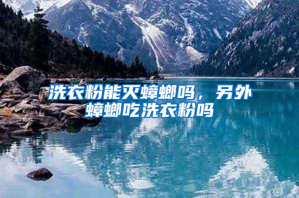 洗衣粉能滅蟑螂嗎，另外蟑螂吃洗衣粉嗎