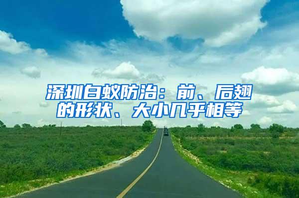 深圳白蟻防治：前、后翅的形狀、大小幾乎相等