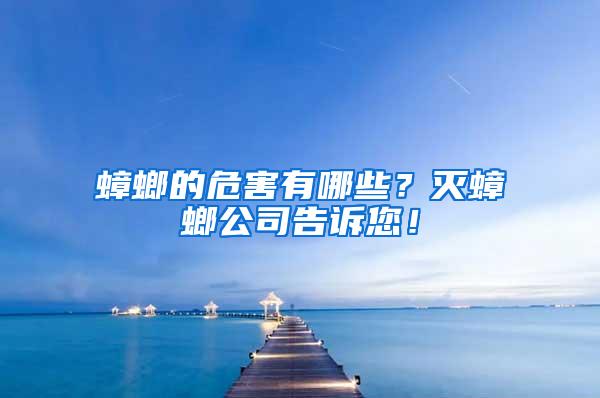 蟑螂的危害有哪些？滅蟑螂公司告訴您！