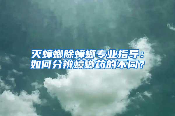 滅蟑螂除蟑螂專業(yè)指導(dǎo)：如何分辨蟑螂藥的不同？