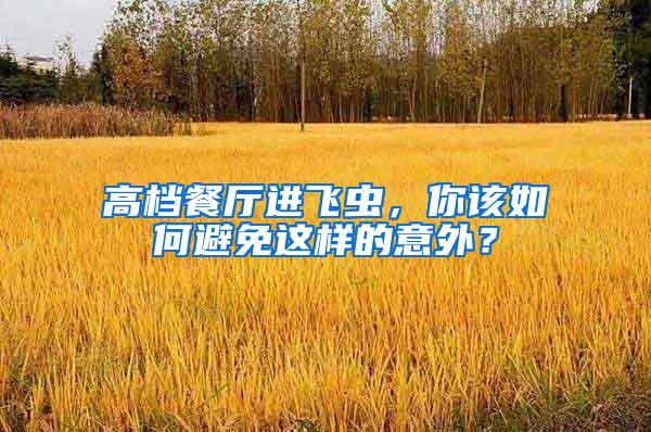 高檔餐廳進飛蟲，你該如何避免這樣的意外？