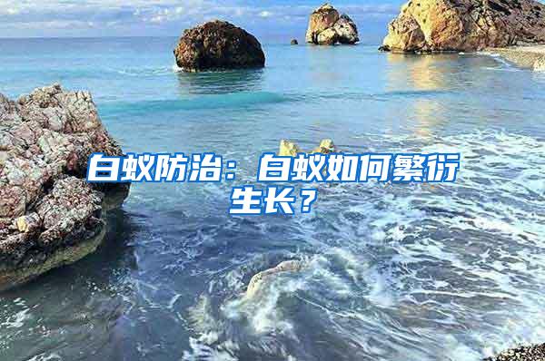 白蟻防治：白蟻如何繁衍生長？