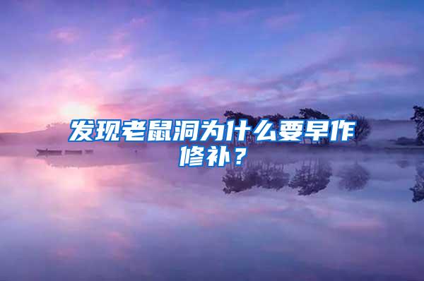 發(fā)現(xiàn)老鼠洞為什么要早作修補(bǔ)？