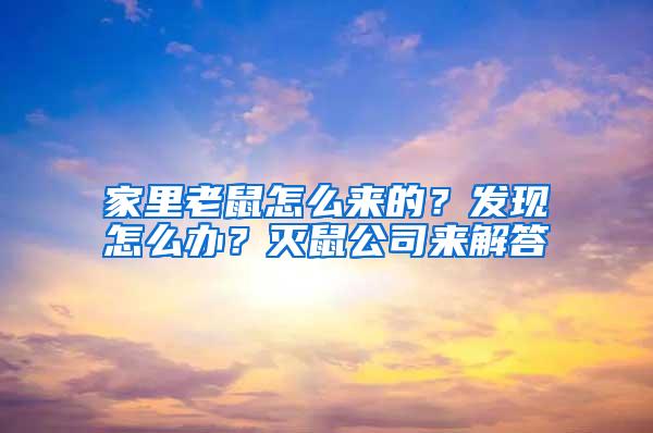 家里老鼠怎么來的？發(fā)現(xiàn)怎么辦？滅鼠公司來解答