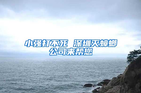 小強(qiáng)打不死 深圳滅蟑螂公司來幫您