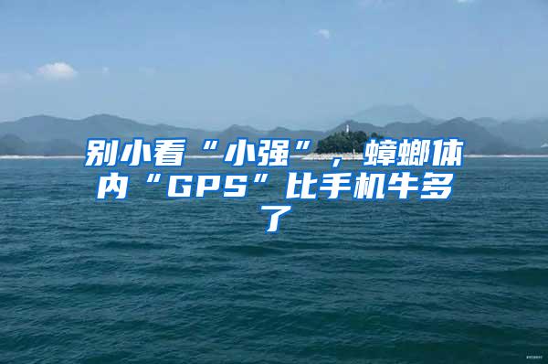 別小看“小強(qiáng)”，蟑螂體內(nèi)“GPS”比手機(jī)牛多了