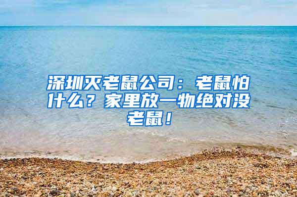 深圳滅老鼠公司：老鼠怕什么？家里放一物絕對沒老鼠！