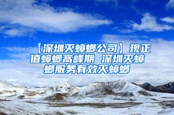 【深圳滅蟑螂公司】現(xiàn)正值蟑螂高峰期 深圳滅蟑螂服務(wù)有效滅蟑螂