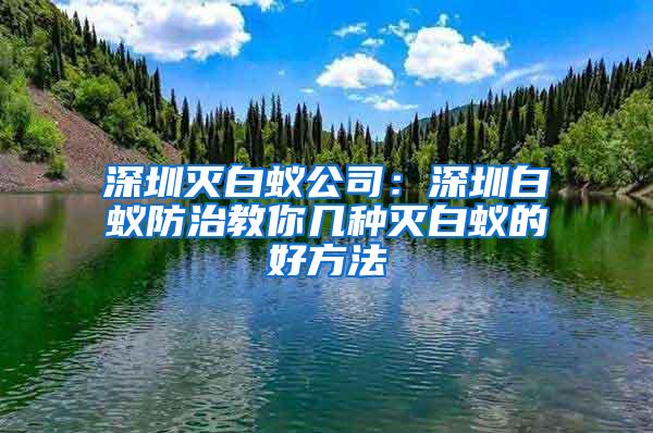 深圳滅白蟻公司：深圳白蟻防治教你幾種滅白蟻的好方法