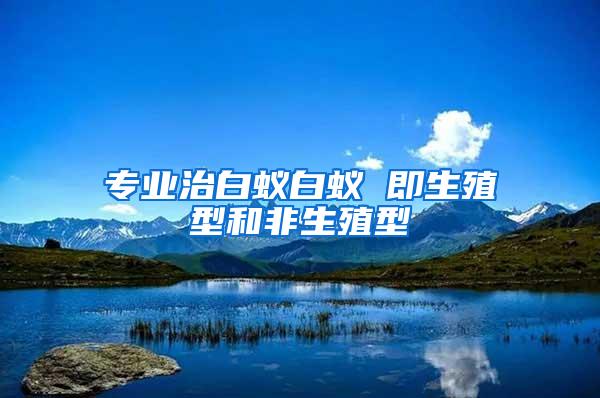 專(zhuān)業(yè)治白蟻白蟻 即生殖型和非生殖型