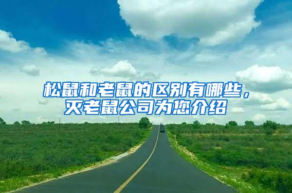 松鼠和老鼠的區(qū)別有哪些，滅老鼠公司為您介紹