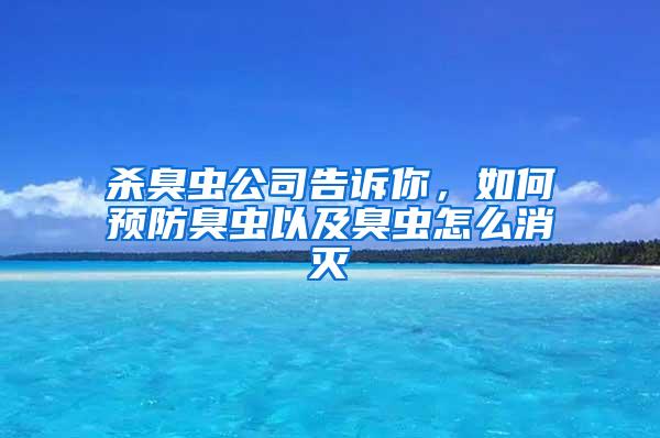 殺臭蟲公司告訴你，如何預(yù)防臭蟲以及臭蟲怎么消滅