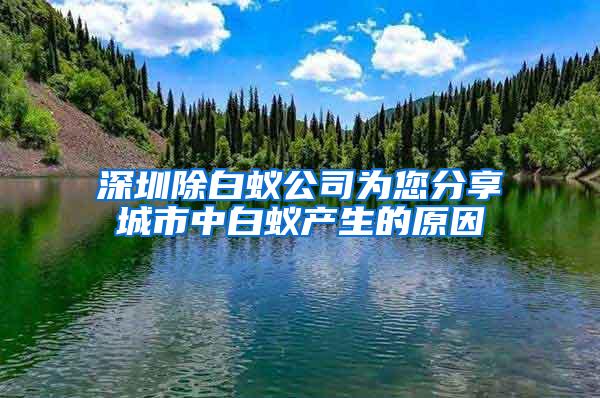 深圳除白蟻公司為您分享城市中白蟻產(chǎn)生的原因