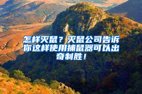 怎樣滅鼠？滅鼠公司告訴你這樣使用捕鼠器可以出奇制勝！