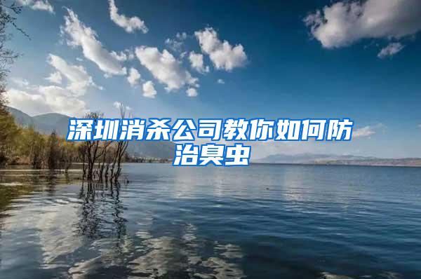 深圳消殺公司教你如何防治臭蟲(chóng)