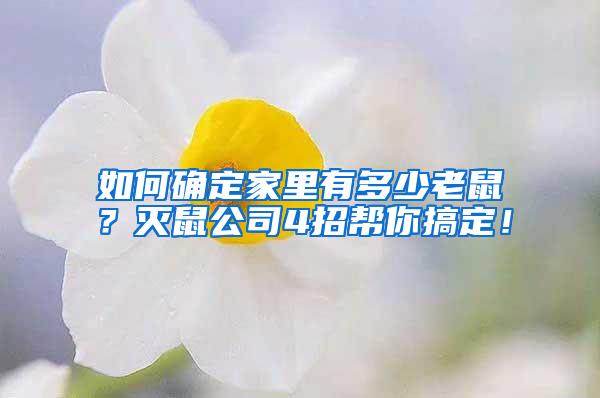 如何確定家里有多少老鼠？滅鼠公司4招幫你搞定！