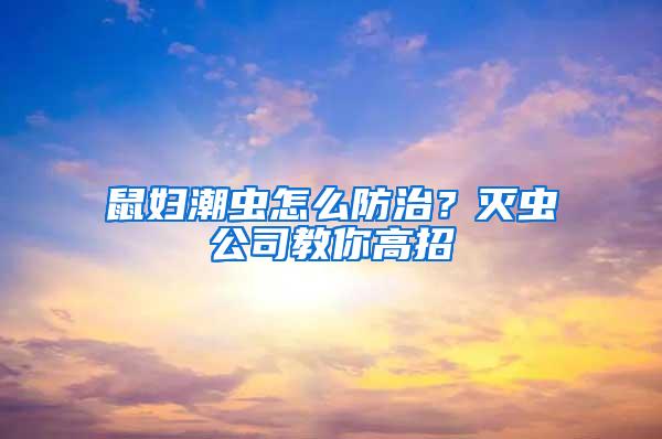 鼠婦潮蟲怎么防治？滅蟲公司教你高招