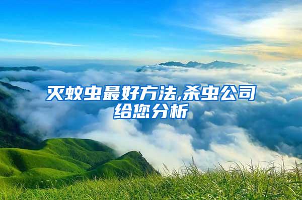 滅蚊蟲最好方法,殺蟲公司給您分析