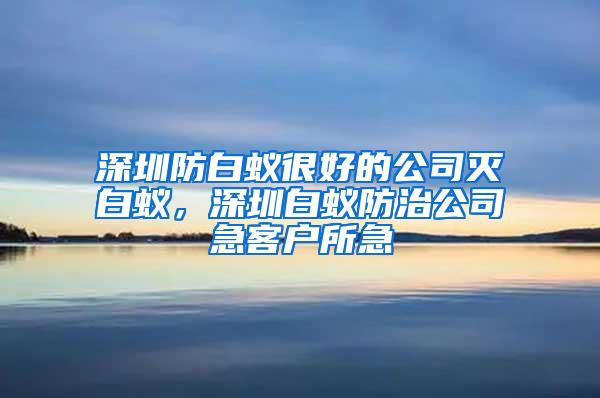 深圳防白蟻很好的公司滅白蟻，深圳白蟻防治公司急客戶所急