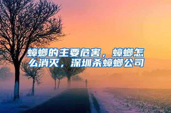 蟑螂的主要危害，蟑螂怎么消滅，深圳殺蟑螂公司