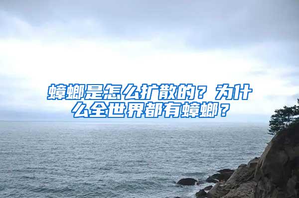 蟑螂是怎么擴散的？為什么全世界都有蟑螂？