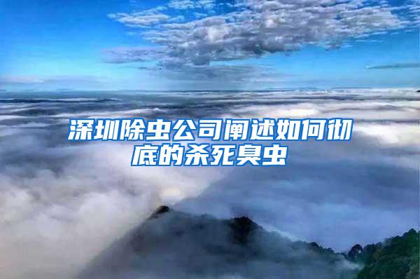 深圳除蟲公司闡述如何徹底的殺死臭蟲