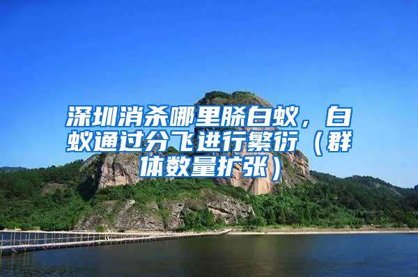 深圳消殺哪里脎白蟻，白蟻通過分飛進(jìn)行繁衍（群體數(shù)量擴(kuò)張）