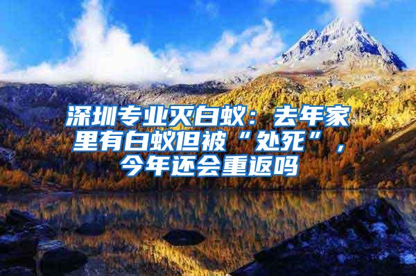 深圳專業(yè)滅白蟻：去年家里有白蟻但被“處死”，今年還會(huì)重返嗎