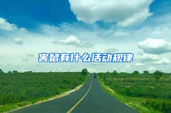 害鼠有什么活動規(guī)律