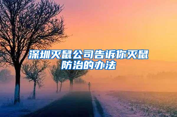 深圳滅鼠公司告訴你滅鼠防治的辦法