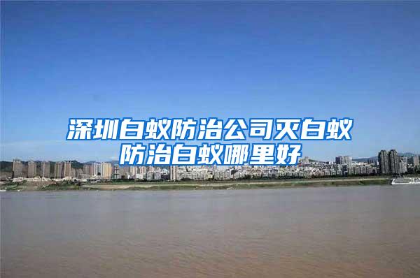 深圳白蟻防治公司滅白蟻防治白蟻哪里好