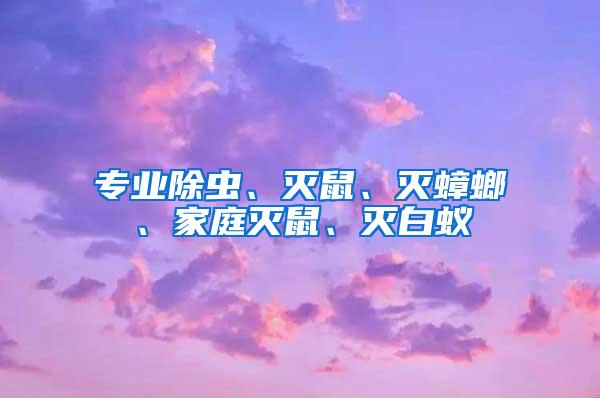 專業(yè)除蟲、滅鼠、滅蟑螂、家庭滅鼠、滅白蟻