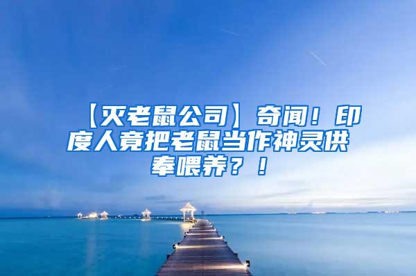 【滅老鼠公司】奇聞！印度人竟把老鼠當作神靈供奉喂養(yǎng)？！