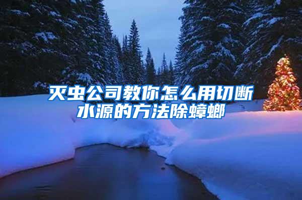 滅蟲(chóng)公司教你怎么用切斷水源的方法除蟑螂