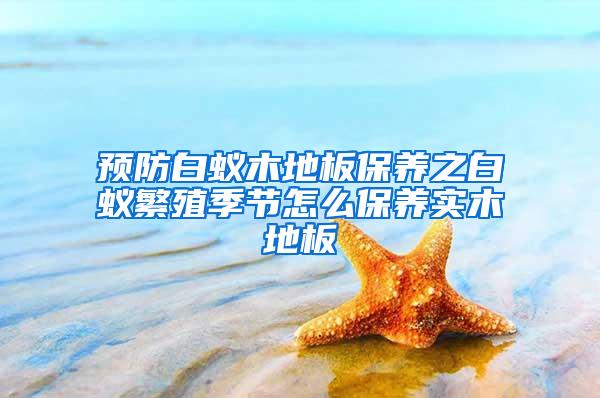 預(yù)防白蟻木地板保養(yǎng)之白蟻繁殖季節(jié)怎么保養(yǎng)實木地板