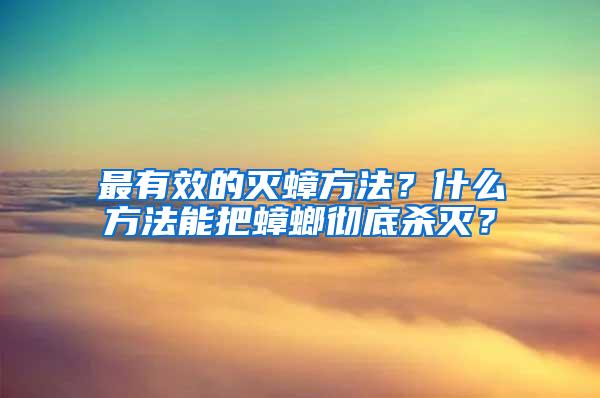 最有效的滅蟑方法？什么方法能把蟑螂徹底殺滅？