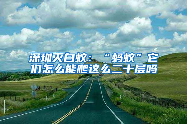 深圳滅白蟻：“螞蟻”它們怎么能爬這么二十層嗎