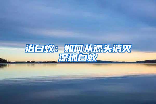 治白蟻：如何從源頭消滅深圳白蟻