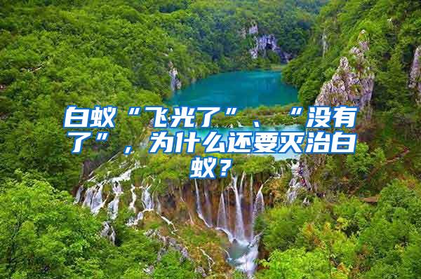 白蟻“飛光了”、“沒(méi)有了”，為什么還要滅治白蟻？