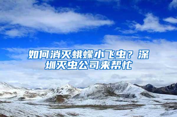 如何消滅蛾蠓小飛蟲？深圳滅蟲公司來幫忙