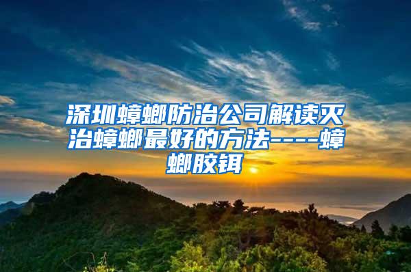 深圳蟑螂防治公司解讀滅治蟑螂最好的方法----蟑螂膠鉺