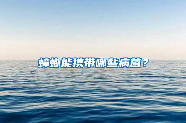 蟑螂能攜帶哪些病菌？