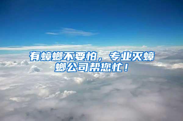 有蟑螂不要怕，專業(yè)滅蟑螂公司幫您忙！