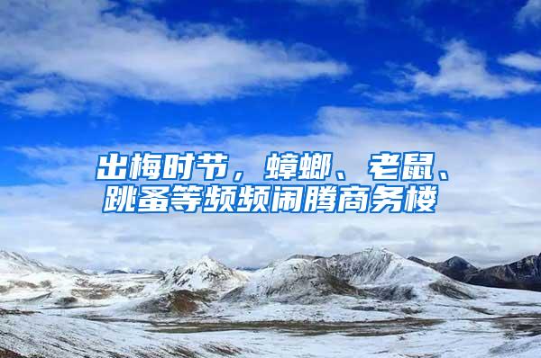 出梅時(shí)節(jié)，蟑螂、老鼠、跳蚤等頻頻鬧騰商務(wù)樓