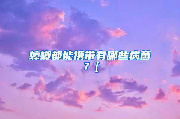 蟑螂都能攜帶有哪些病菌？[