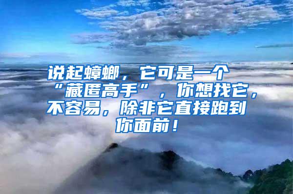 說起蟑螂，它可是一個“藏匿高手”，你想找它，不容易，除非它直接跑到你面前！